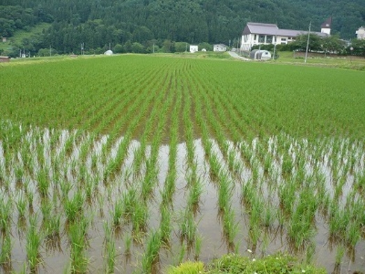 【全館禁煙】【訳ありプラン】≪１泊２食付き≫  ・・・★館内改装工事中のため音出しあり★・・・